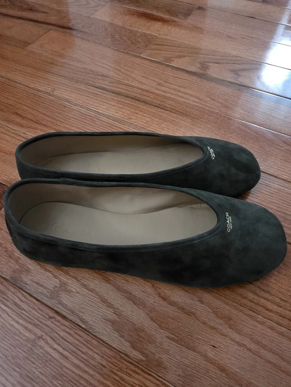 Coach Houston Ballet Flat, Olive Suede, 10